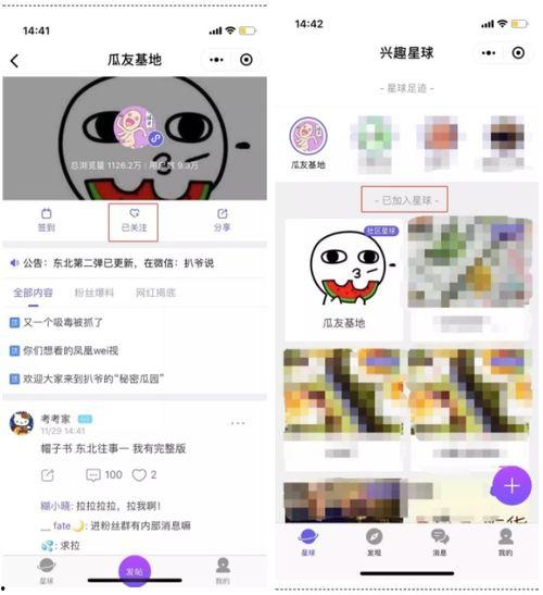 网络爆料免费吃瓜,揭秘瓜农们的生存之道